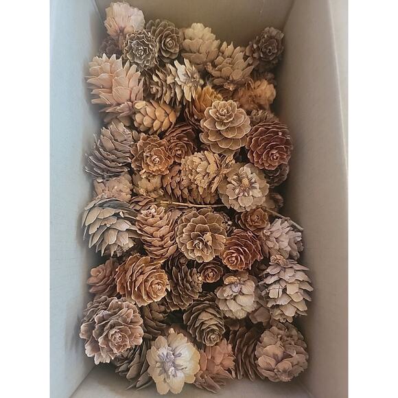 90+ Small Pine Cones - Picture 1 of 3